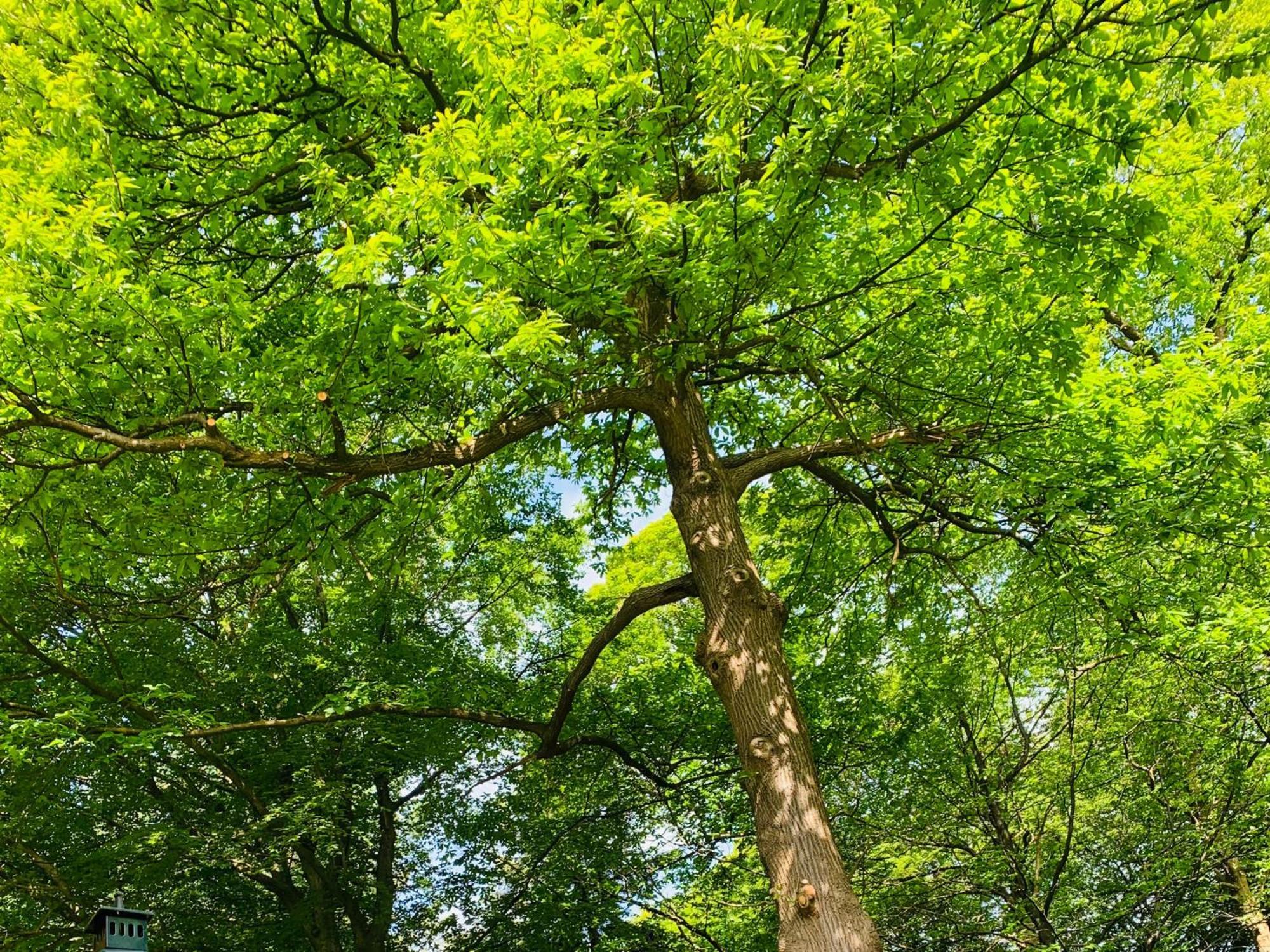 Hotel Landgoed Zonheuvel Doorn Kültér fotó